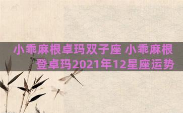 小乖麻根卓玛双子座 小乖麻根登卓玛2021年12星座运势